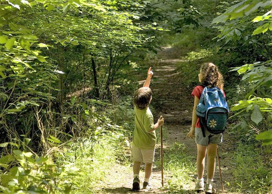 Why walking is such a good Covid "Boredom Buster"!