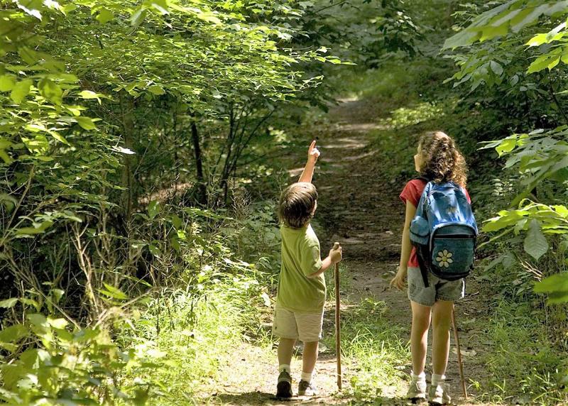 Why walking is such a good Covid "Boredom Buster"!